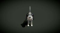 Cartoon Hound Dog 3D Model