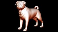 Pug Dog Pose 01 3D print model