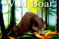 Wild boar