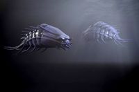Sea creature1