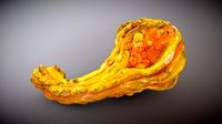 Squash / Gourd (includes low poly model)
