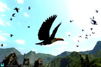 Bird Flock Toucan 2023
