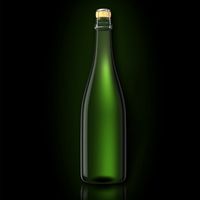 Bottle of Champagne 3D Model