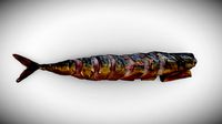 Mackerel. Scan.