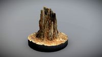 Pinetree stump 0001