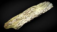 Cracked Bark