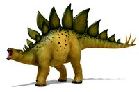 Stegosaurus Animated