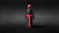 Priest cartoon style, skinned