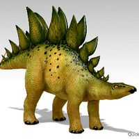 Stegosaurus