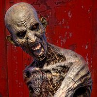 Decayed Zombie C
