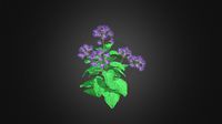 Thistle 3D Model