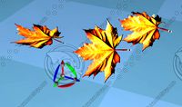 maple leaf
