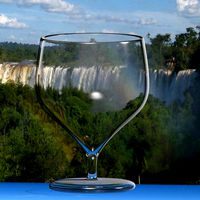 Wine Cup