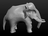 Elephant