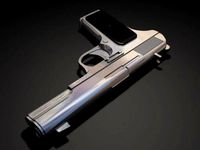 Gun