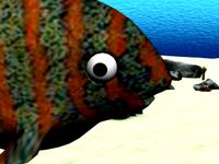 Samuel May fish