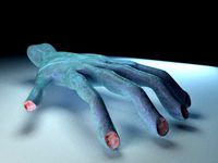 hand