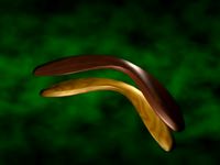 Boomerang &Materials