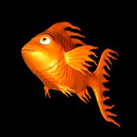 fish