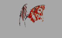 3d Wing