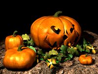 pumpkin