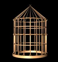 BIRD CAGE