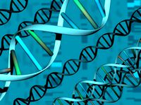 DNA