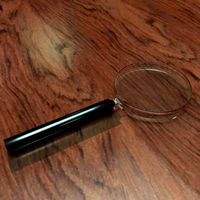 Magnifying Glass