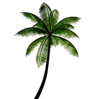 palmtree3DS