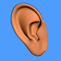ear.3DS