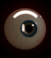 Eye