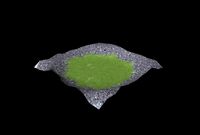 Grass Terrain