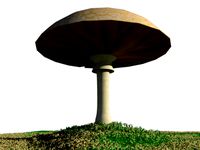 Mushroom