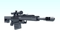Gun