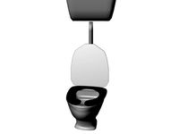 Flush Toilet