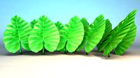 Elephant Leaf