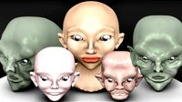 5 Pack o' Heads