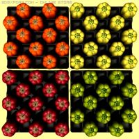 Sweet peppers collection 3D Model