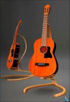 Acoustic Guitar