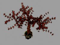 Fantasy Tree