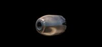 Bullet