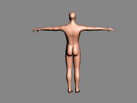 male model