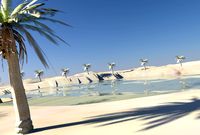 oasis