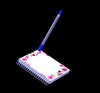 Pen and a notebook