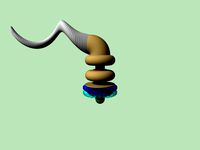 Flagellum animation