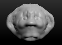 Head