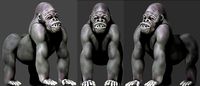 Gorilla-SilverBack Model