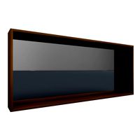 Molger Mirror