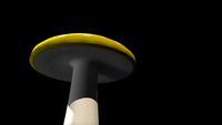 Golden Mushroom