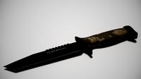 Combat Knife